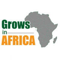 grows in africa