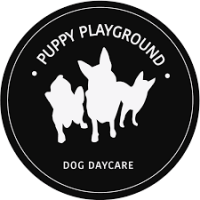 puppyplaygroundsydney