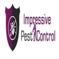 Impressive Pest Control Brisbane